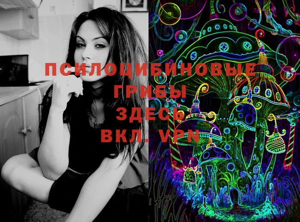 jwh Пролетарск