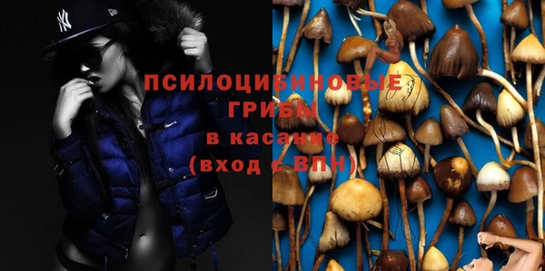 jwh Пролетарск